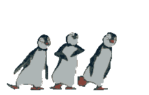 :pinguin1